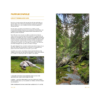 Randos Chien Suisse – Image 3