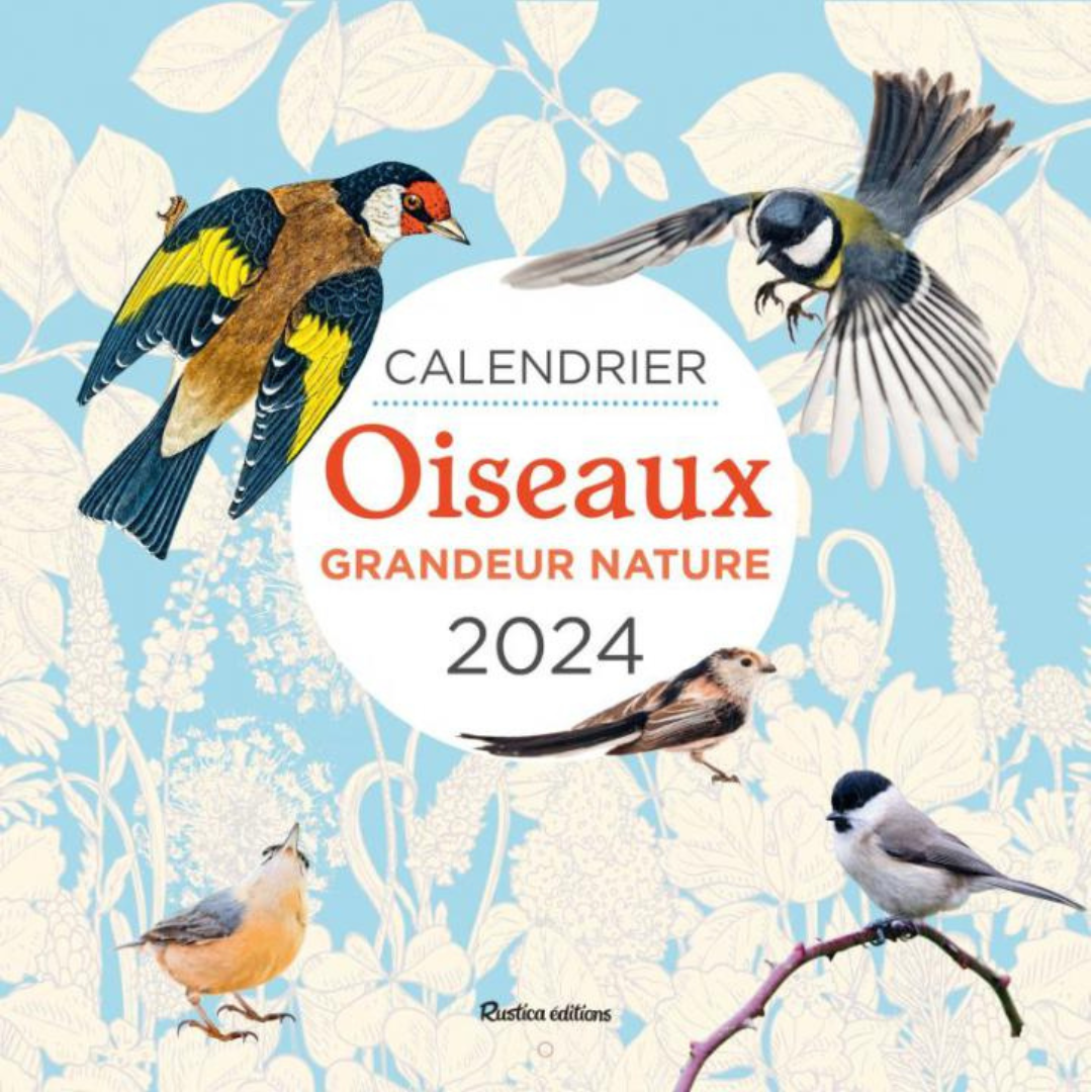Calendrier 2024 - Oiseaux grandeur nature