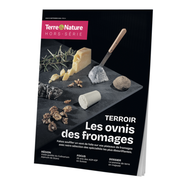 Hors-série terroir 2024 : les ovnis des fromages