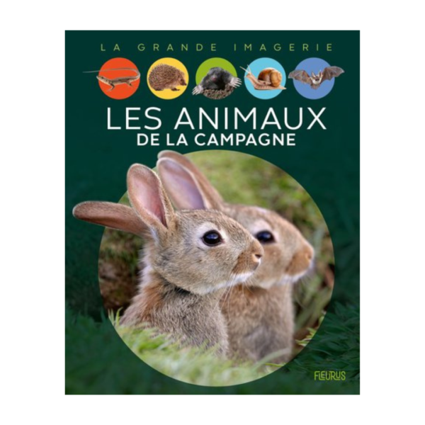Animaux de la campagne