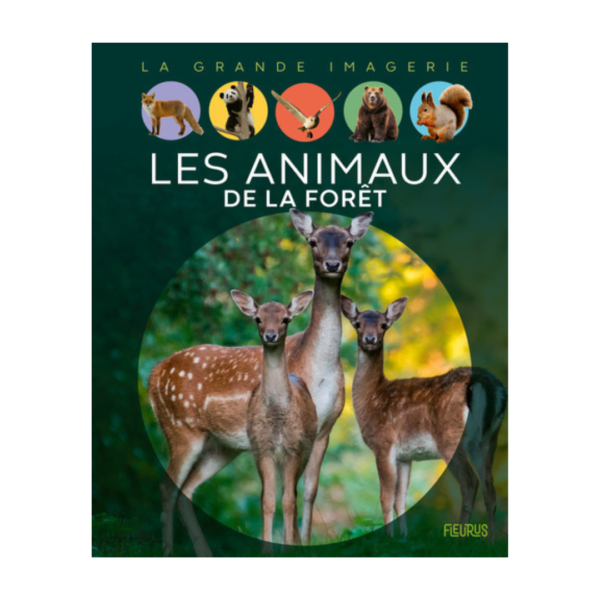 Animaux de la forêt