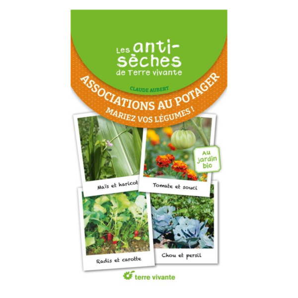 Associations au potager : mariez vos légumes !