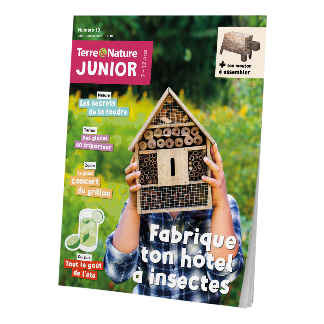 Terre&Nature Junior N°10 – Fabrique ton hôtel à insectes
