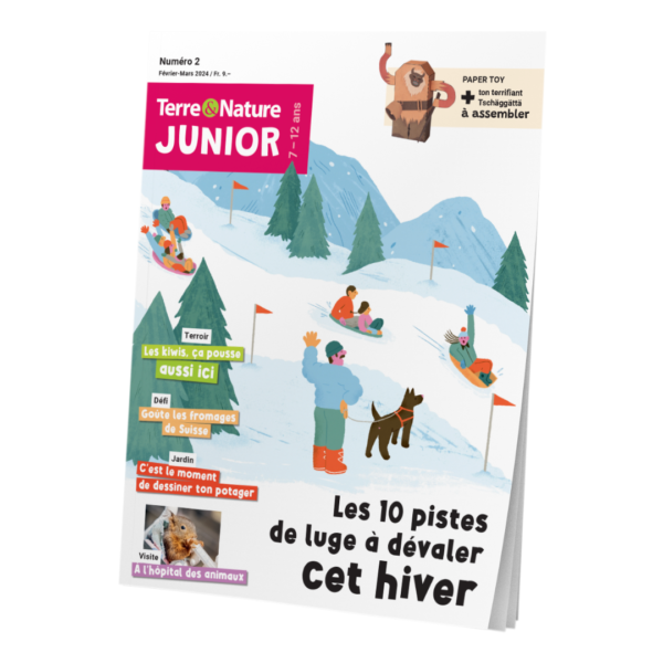 Terre&Nature Junior N°2 - Les 10 pistes de luge à dévaler cet hiver