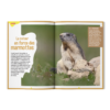 Terre&Nature Junior N°3 - Debout les marmottes – Image 3