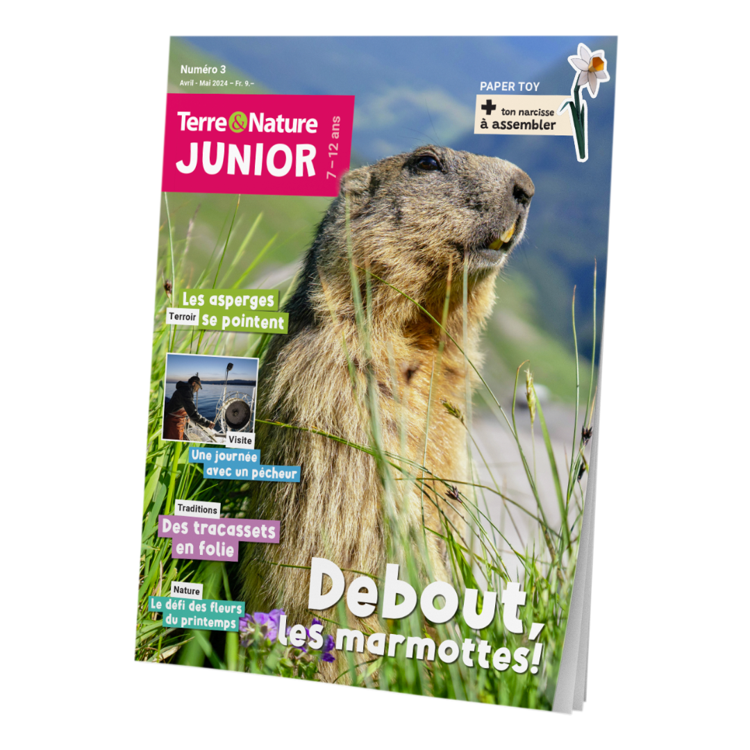 Terre&Nature Junior N°3 – Debout les marmottes