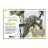 Terre&Nature Junior N°5 - Cet été, on part à l'aventure – Image 4
