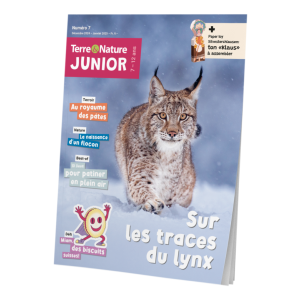 Terre&Nature Junior N°7 - Sur les traces du lynx