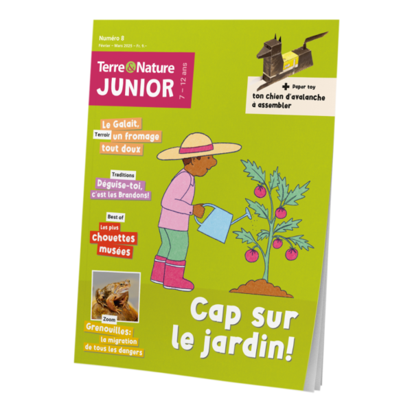 Terre&Nature Junior N°8 - Cap sur le jardin