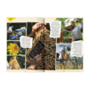 Terre&Nature Junior N°9 - Le miel, c'est son rayon – Image 3