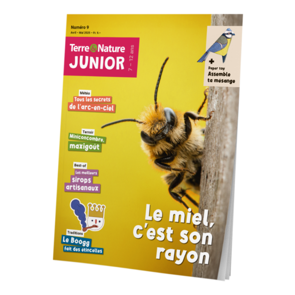 Terre&Nature Junior N°9 - Le miel, c'est son rayon