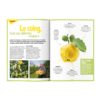 Terre&Nature Junior N°11 - La tête dans les nuages – Image 4