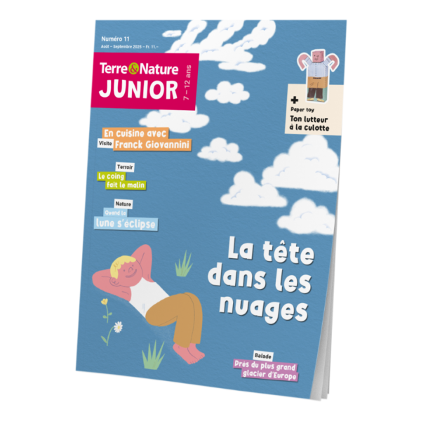 Terre&Nature Junior N°11 - La tête dans les nuages